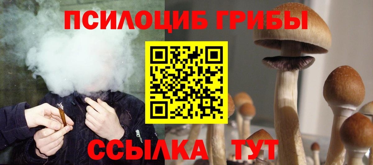 Псилоцибиновые грибы мухоморы  Вход с VPN  Пятигорск 